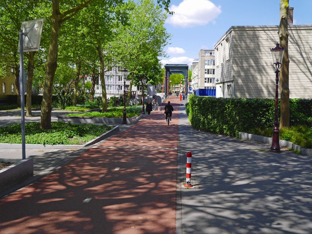 Breiter, rot asphaltierter Fahrradweg in einer modernen, grünen Wohnsiedlung mit Bäumen.