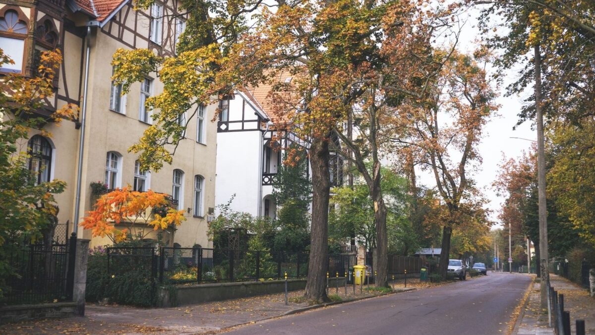 Geschwungene, baumbestandene Straße mit historischen Häusern der Gartenstadt